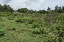 DSC05740