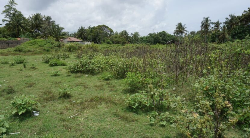 DSC05740