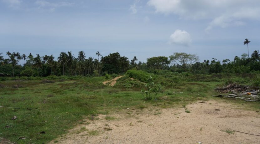 DSC05741