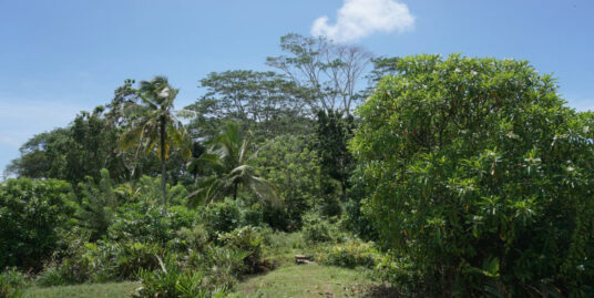 Kathaluwa Paddy island