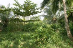 DSC06272