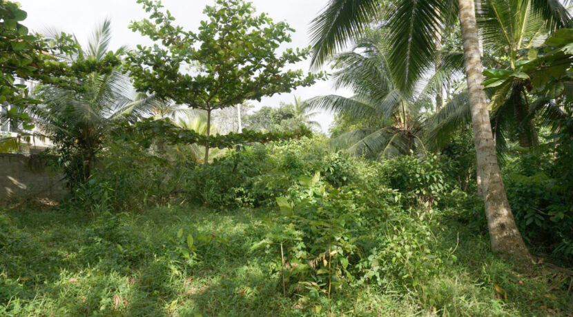 DSC06272