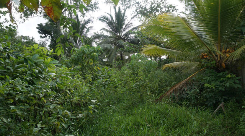 DSC06273