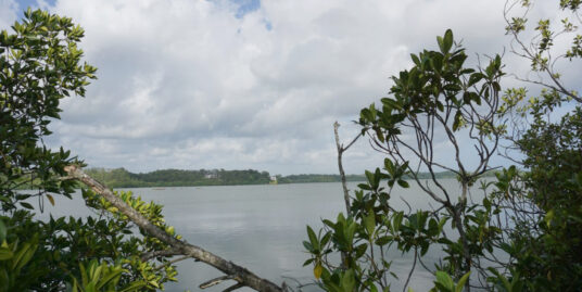 Beautiful lake front land