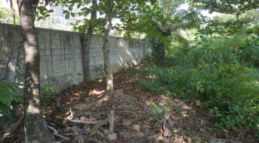 DSC06283