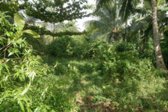 DSC06285