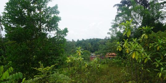 Ginigala Elevated land with views