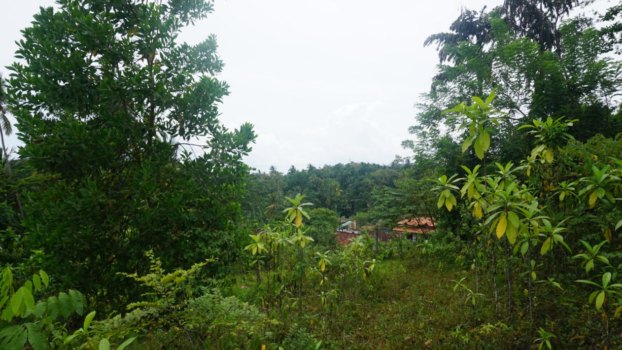 Ginigala Elevated land with views