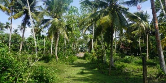 Habaraduwa land for sale