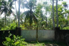 DSC06511
