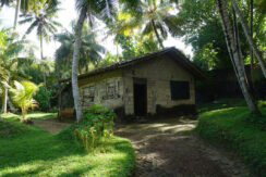 DSC06513