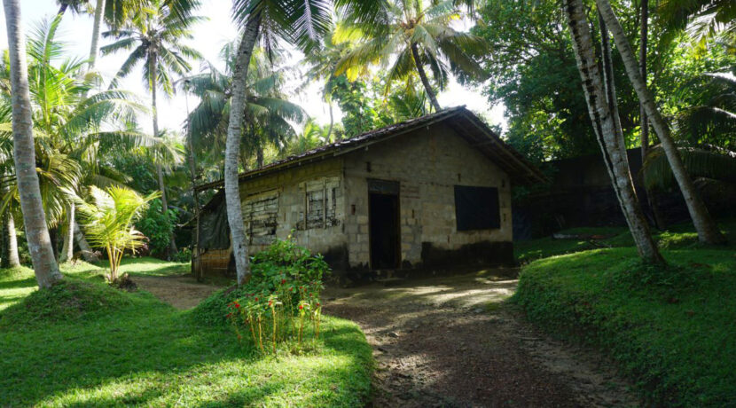 DSC06513