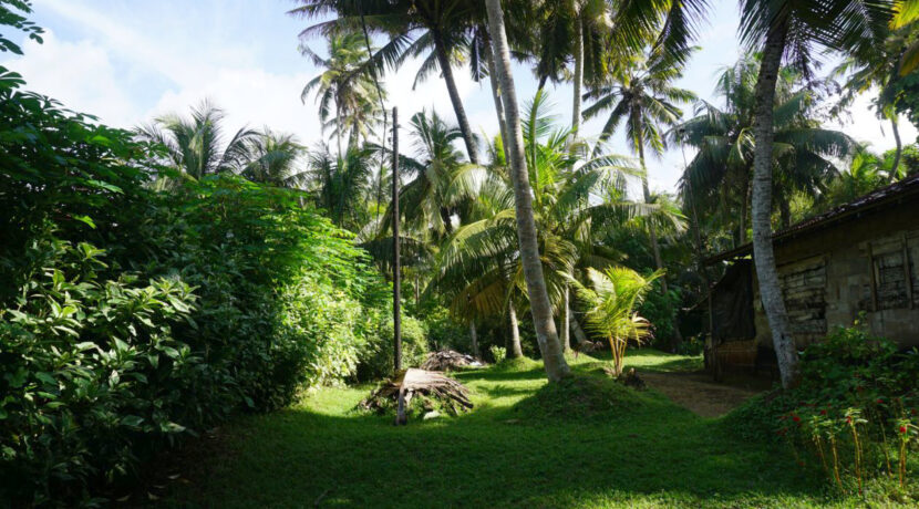 DSC06514
