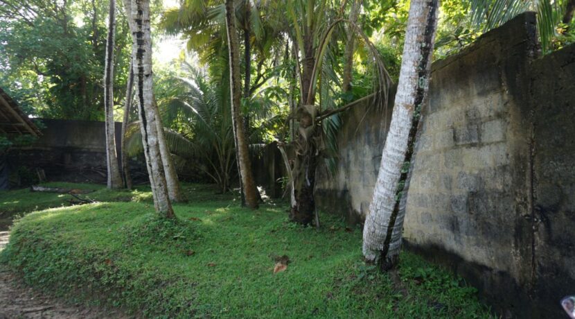 DSC06515