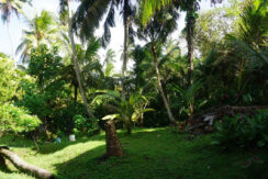 DSC06520