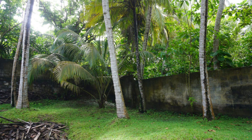 DSC06526