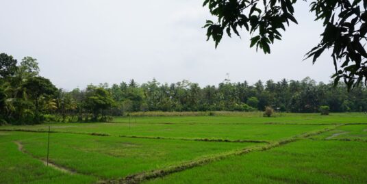 Ahangama house with paddy views