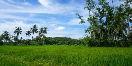 Ahangama land, great location with paddy field views