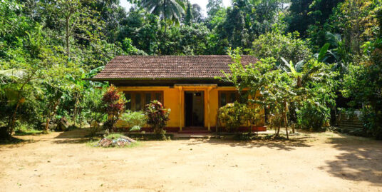 Habaraduwa paddy views with small house