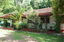 DSC01239