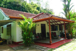 DSC01245