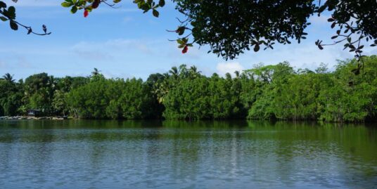 Koggala Lakeview vacant land