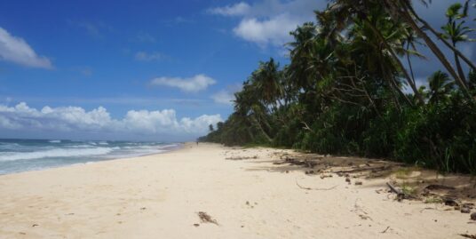 Habaraduwa beach front vacant land