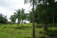 DSC01814