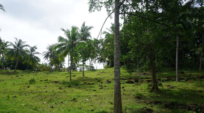 DSC01814