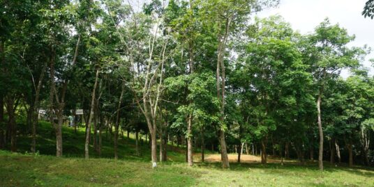 Lakefront land in gated estate