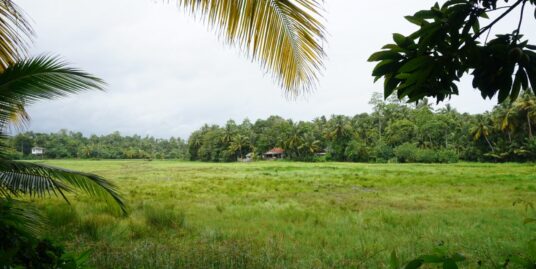Kabalana Vacant Land In Sought After Area