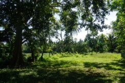 DSC03309