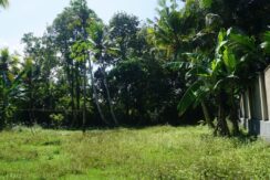 DSC03313