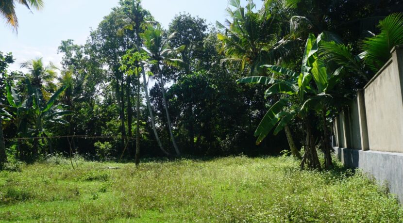 DSC03313