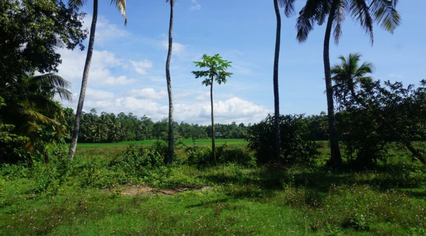DSC03316