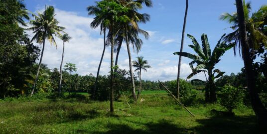 Kabalana Vacant Land In Sought After Area