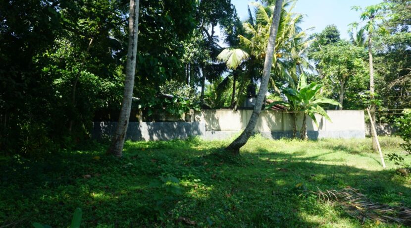 DSC03324