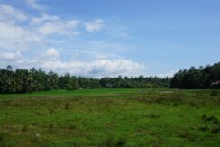 DSC03331