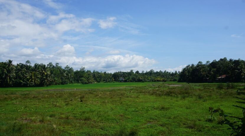 DSC03331