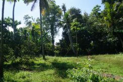 DSC03335