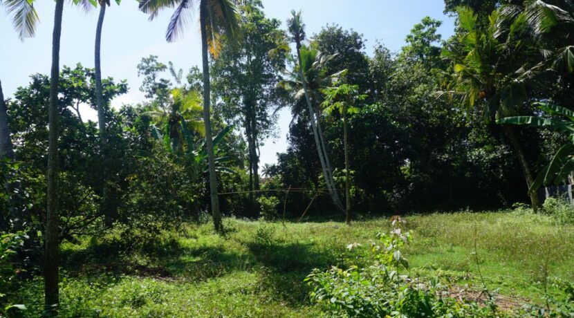 DSC03335