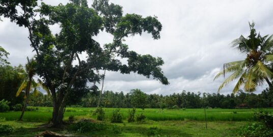 3 Acres Deco House with paddy views