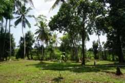 DSC05999