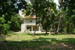 DSC06008