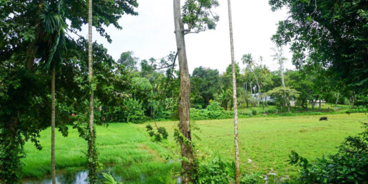 Kathaluwa Lake and Paddy views land for sale