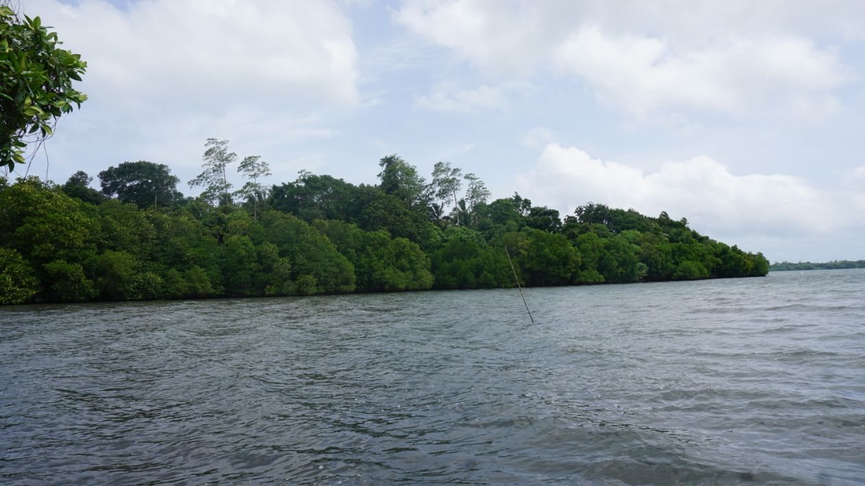 Koggala Lake 1 Acre Bare land