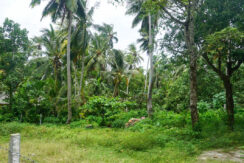 DSC02698