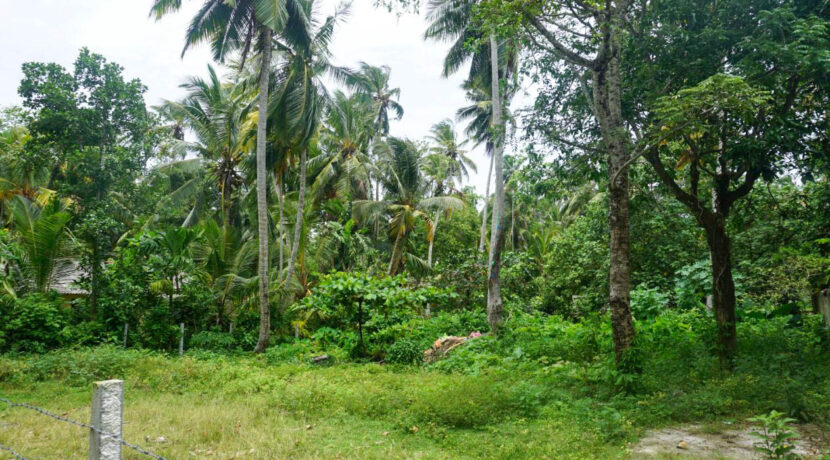 DSC02698