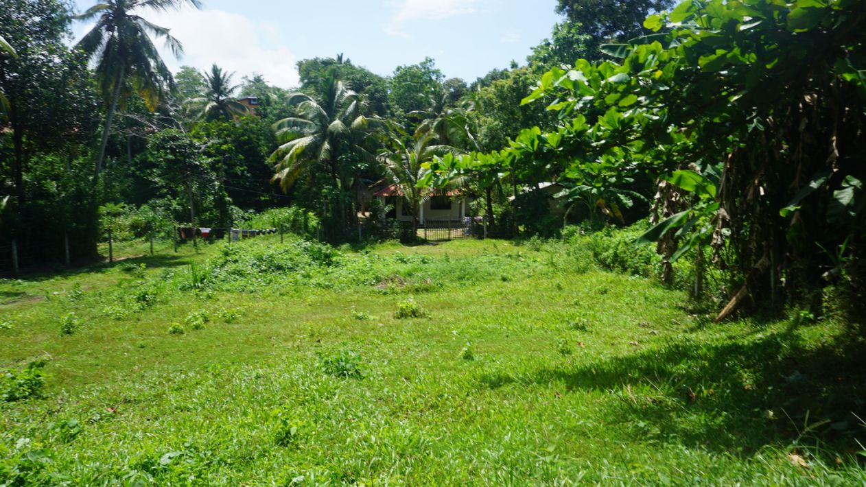 Weligama, conveniently located bare land