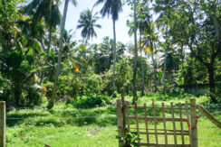 DSC03739